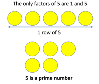 Why one is not a prime number: Prime numbers explained - He Loves Math