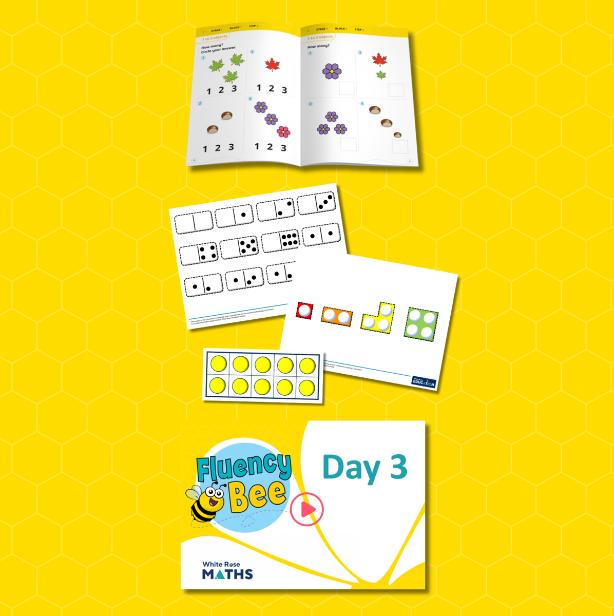 White Rose Fluency Bee: Parent and Child — cover image