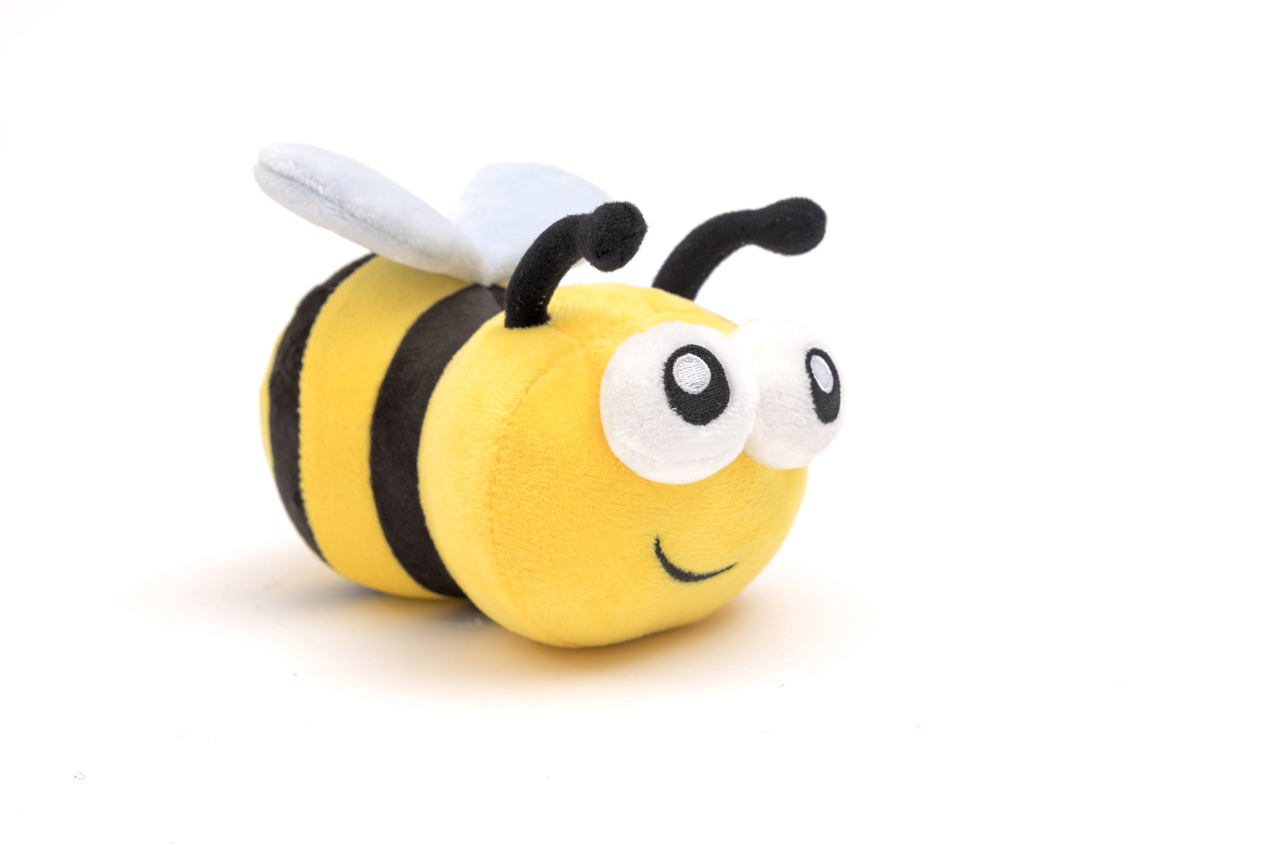 White Rose Bee — cover image